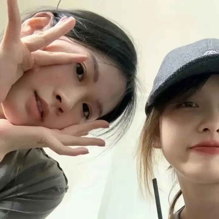 假元首秘纪